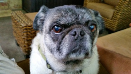 Lulu
