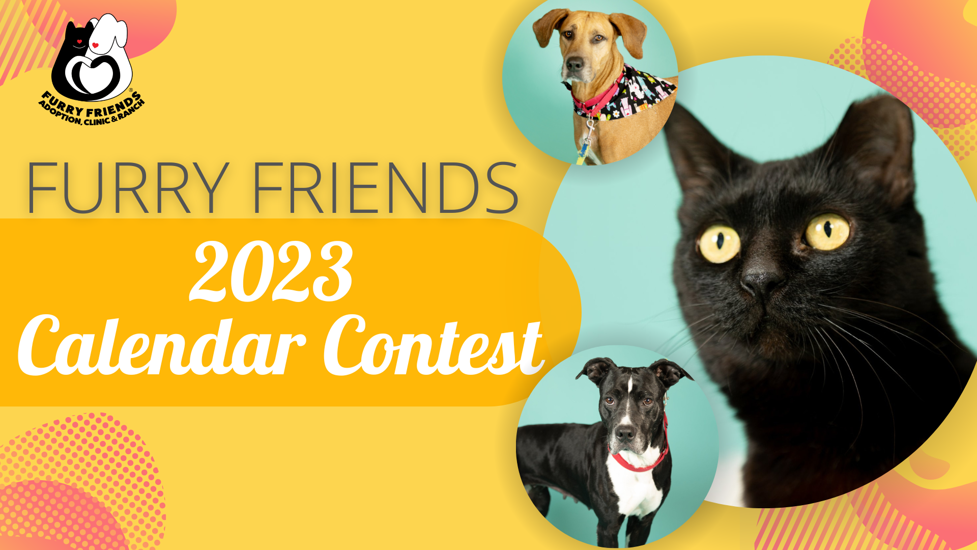 Prizes | Furry Friends Adoption, Clinic & Ranch | 2023 Furry Friends Prizes | Furry Friends Adoption, Clinic & Ranch | 2023 Furry Friends