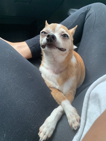 Spud