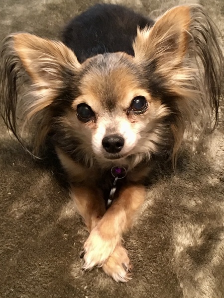 Ms. Peanut