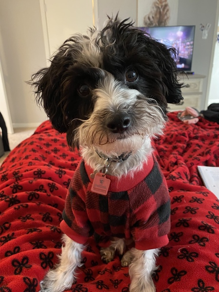 Linus