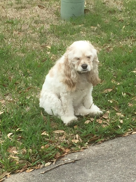 Winnie 