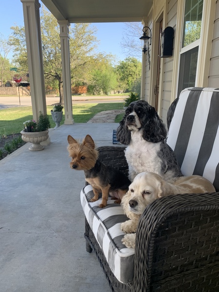 Winnie, Marbles and Peanut