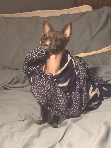 Zoe