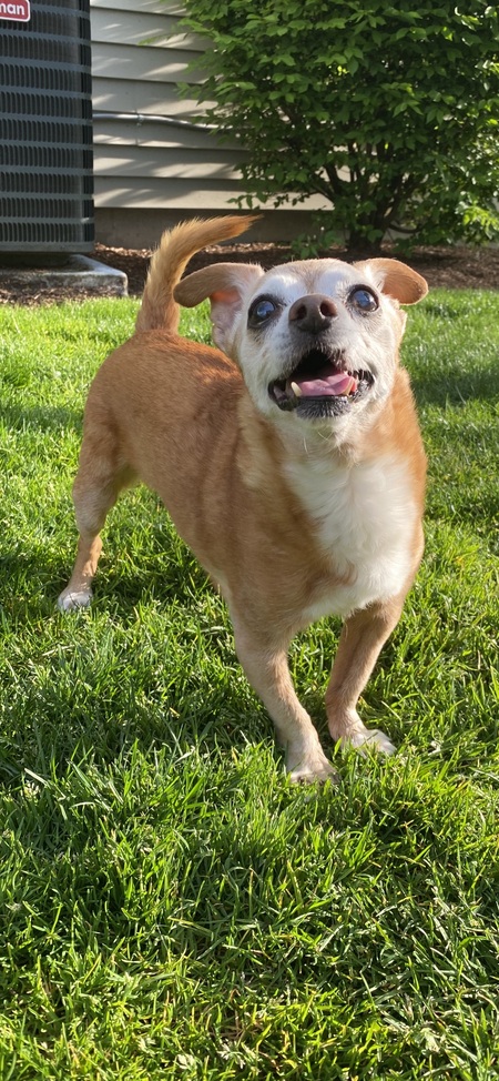 Tito