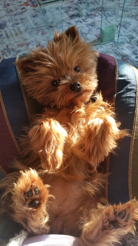 Coco