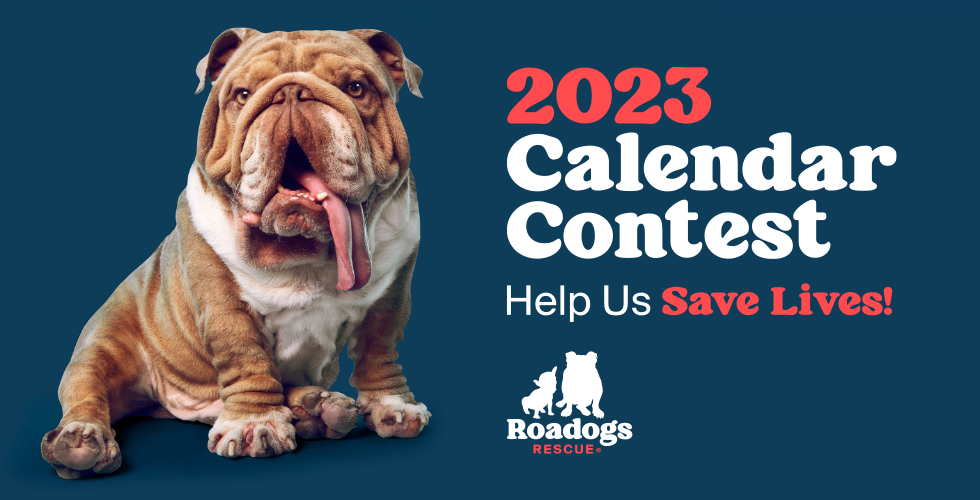 Contest Rules Road Dogs & Rescue Roadogs Rescue Bulldog Guide to Happiness Calendar Contest 2023
