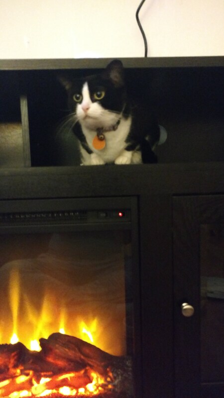 Sox 