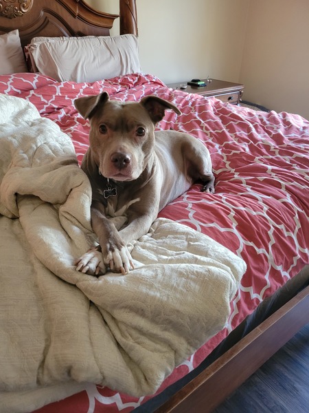 Ruby