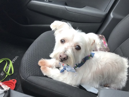 Mitzi