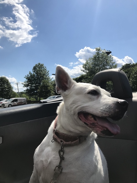 Kaia