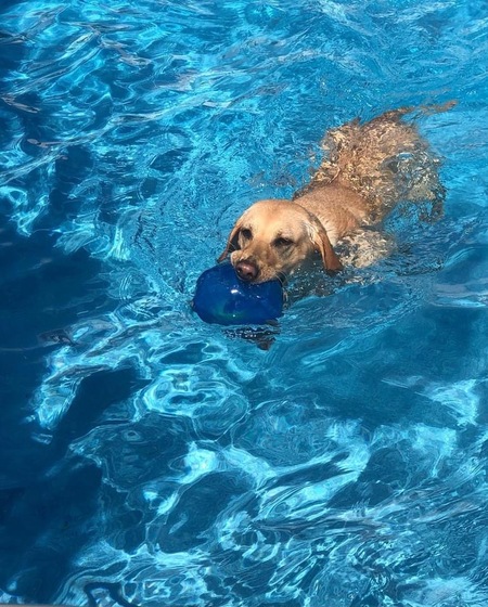 Making a splash!