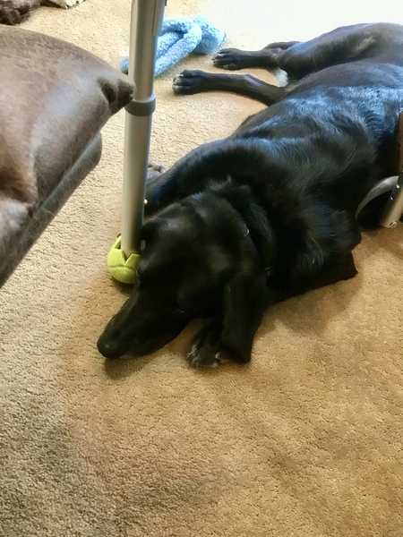 But it is a ball!!!