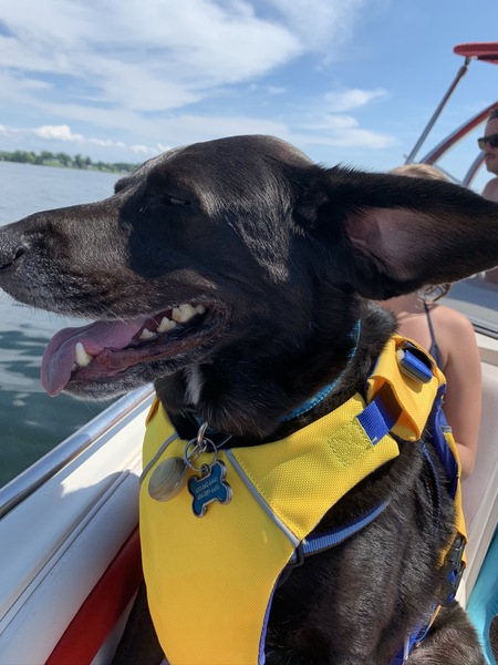 I love the wind in my ears ❤️