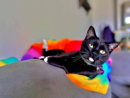 “Paint me like one of your French girls”