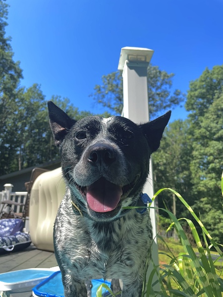 Sunshine Boy Bob Marley