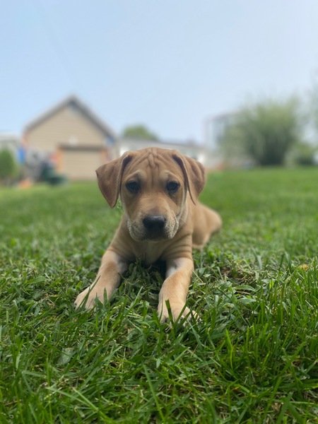 Treat time? 