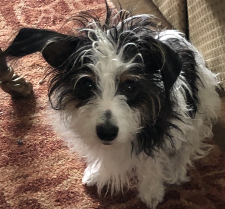 Bad Hair Day