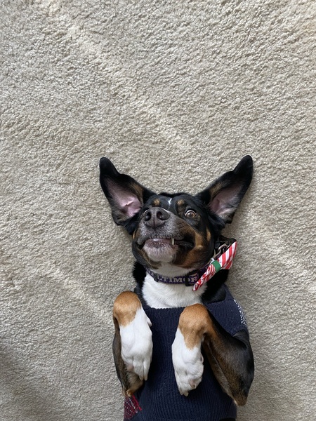 That First Whiff of Thanksgiving Dinner