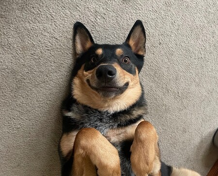 Mr. Mak, the handsomest bobansomest!