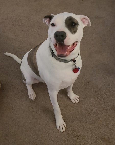 Luca smiles