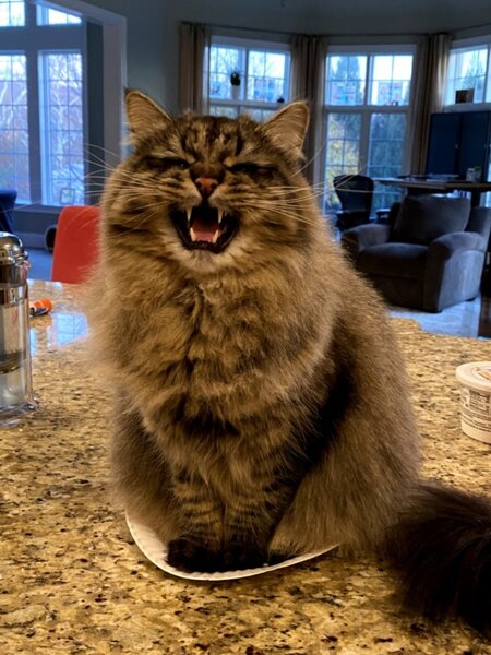 Feed Me!!