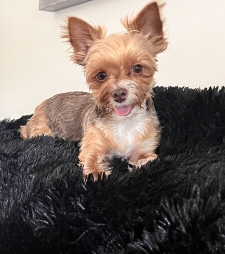 My Sassy Girl! 