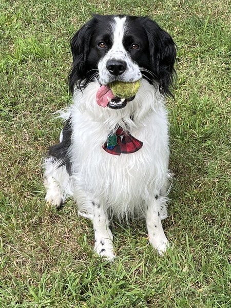 The Ball Doesn’t Throw Itself 