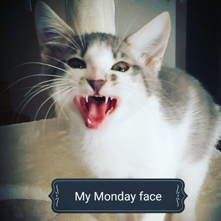 Monday Face