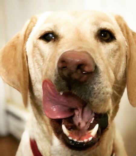 lip-smackin' good
