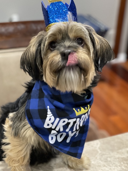 Niko’s Big Day!