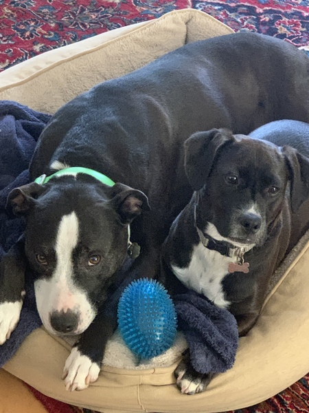 Brotherly Love!