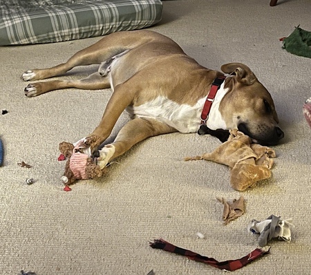 Exhausted from redecorating…