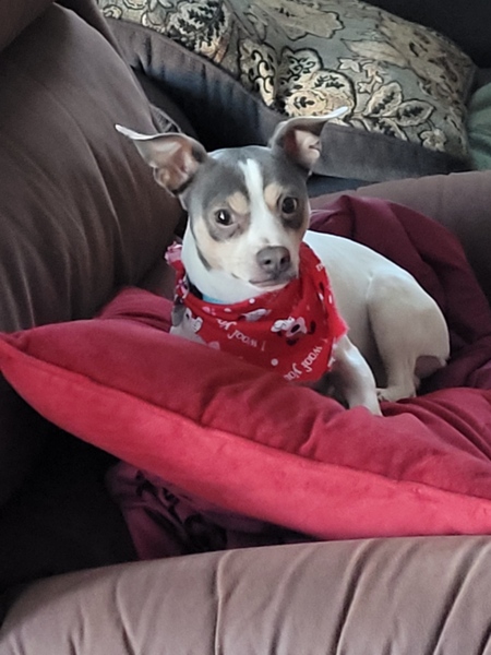 Handsome Boy!