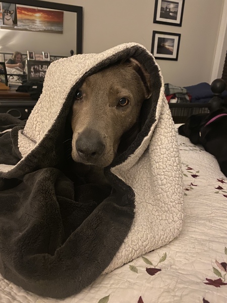 Peek a boo 