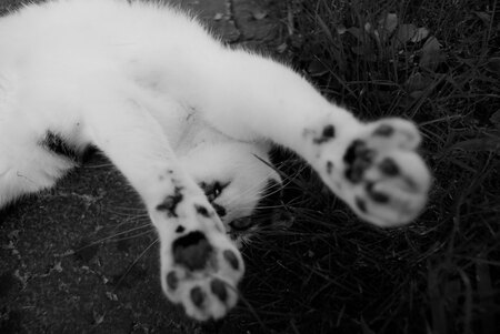 Reaching for the Stars ✨ 