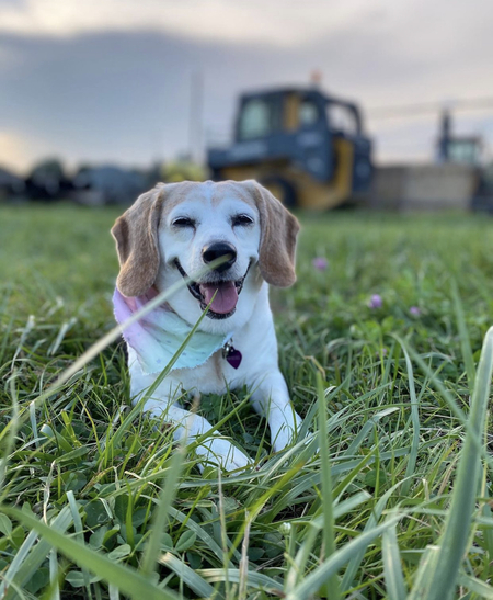 Zoey Girl