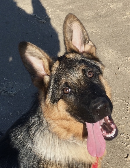 Gus at The Beach 