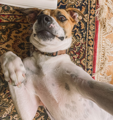 Ellie’s Selfie 
