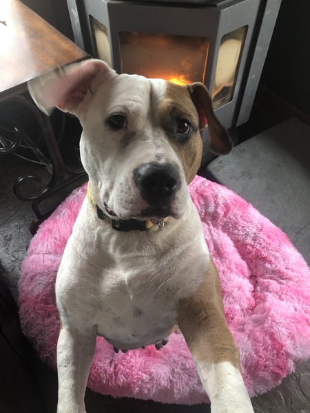 From homeless to princess