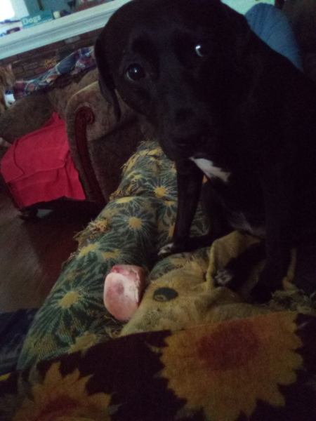 Mine?