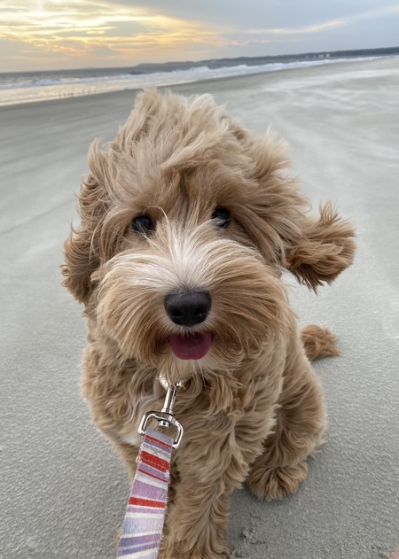 Beach Bliss 