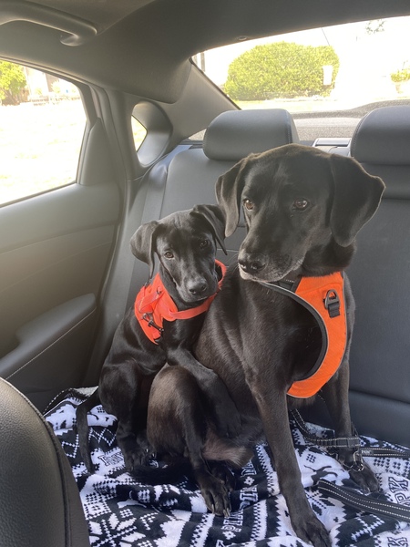 BFFs
