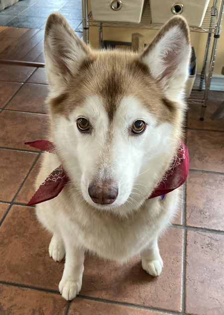 Delilah