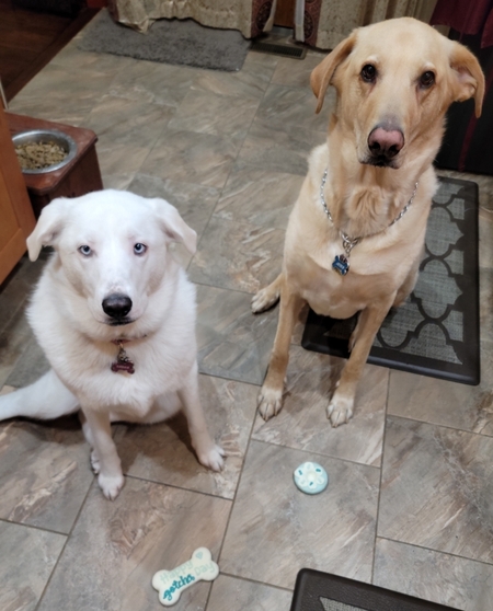Sasha & Jeter