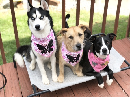 Cleo, Misty, Ash
