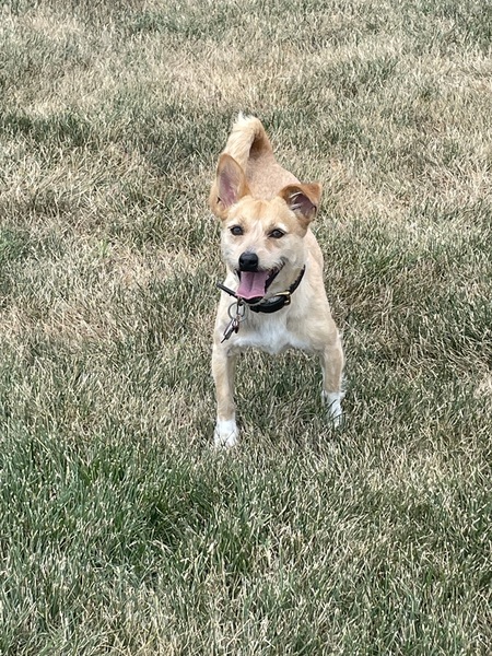 Leena