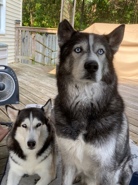 Alera & Max