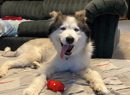 Axel
