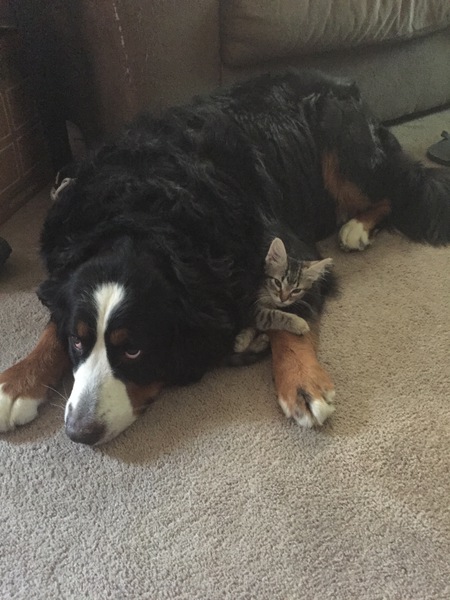 Bella & Miracle